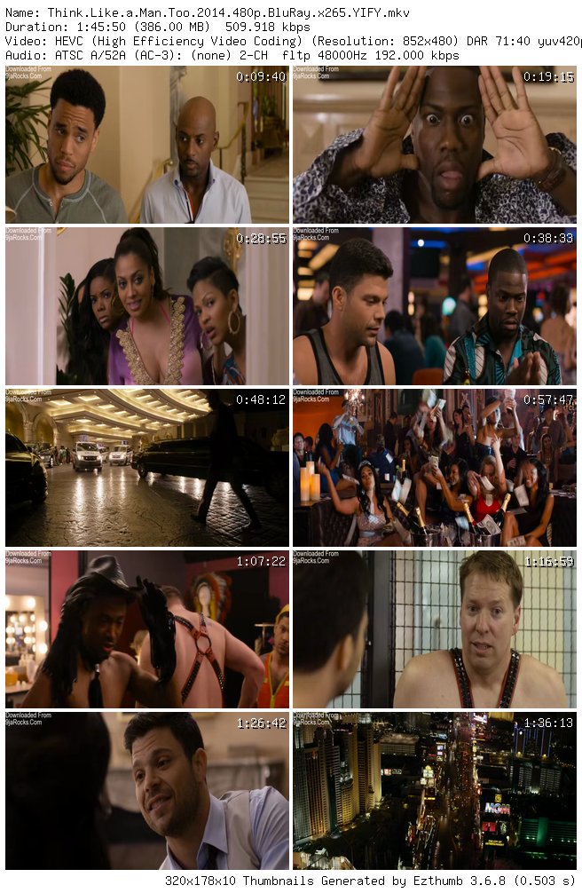 Think Like a Man Too (2014)