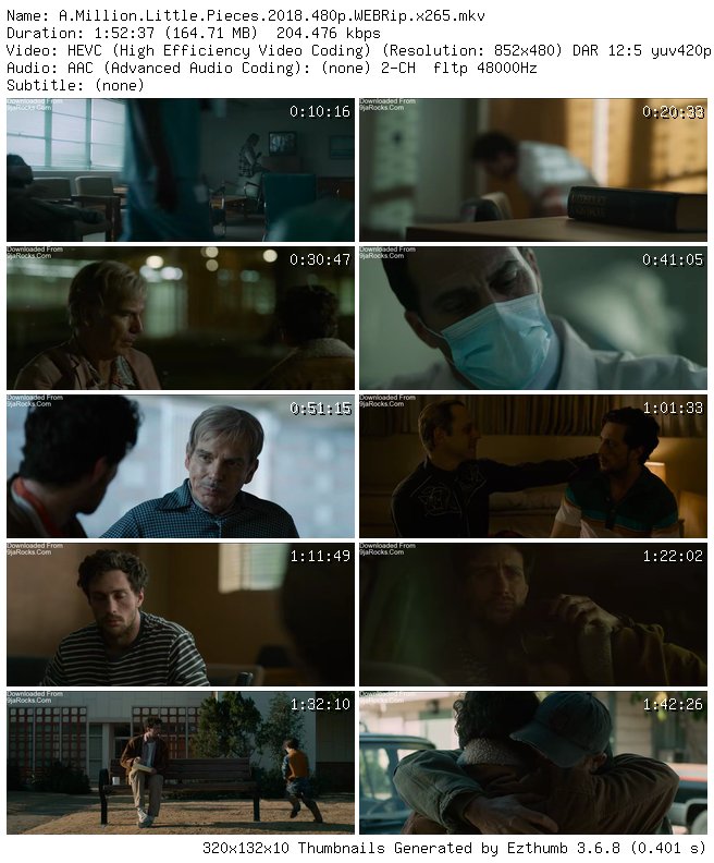 A Million Little Pieces (2018)