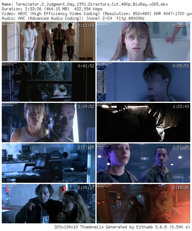 Terminator 2: Judgment Day (1991)