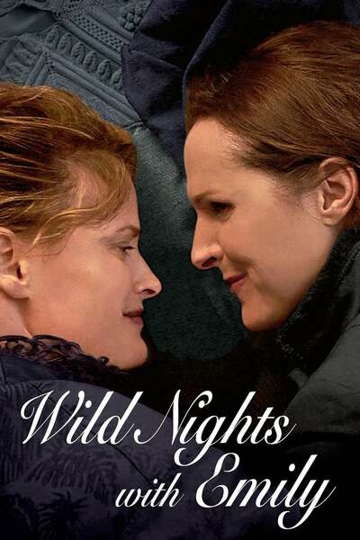 Wild Nights with Emily (2018) Wild Nights with Emily (2018)