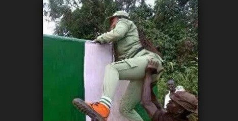 nysc-1